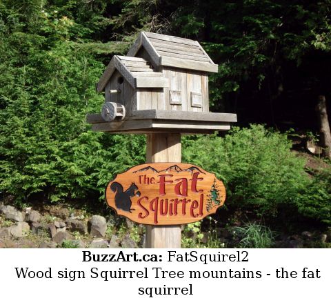 Wood sign Squirrel Tree mountains - the fat squirrel